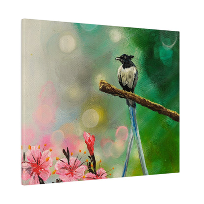 Asian Flycatcher - Matte Canvas Print