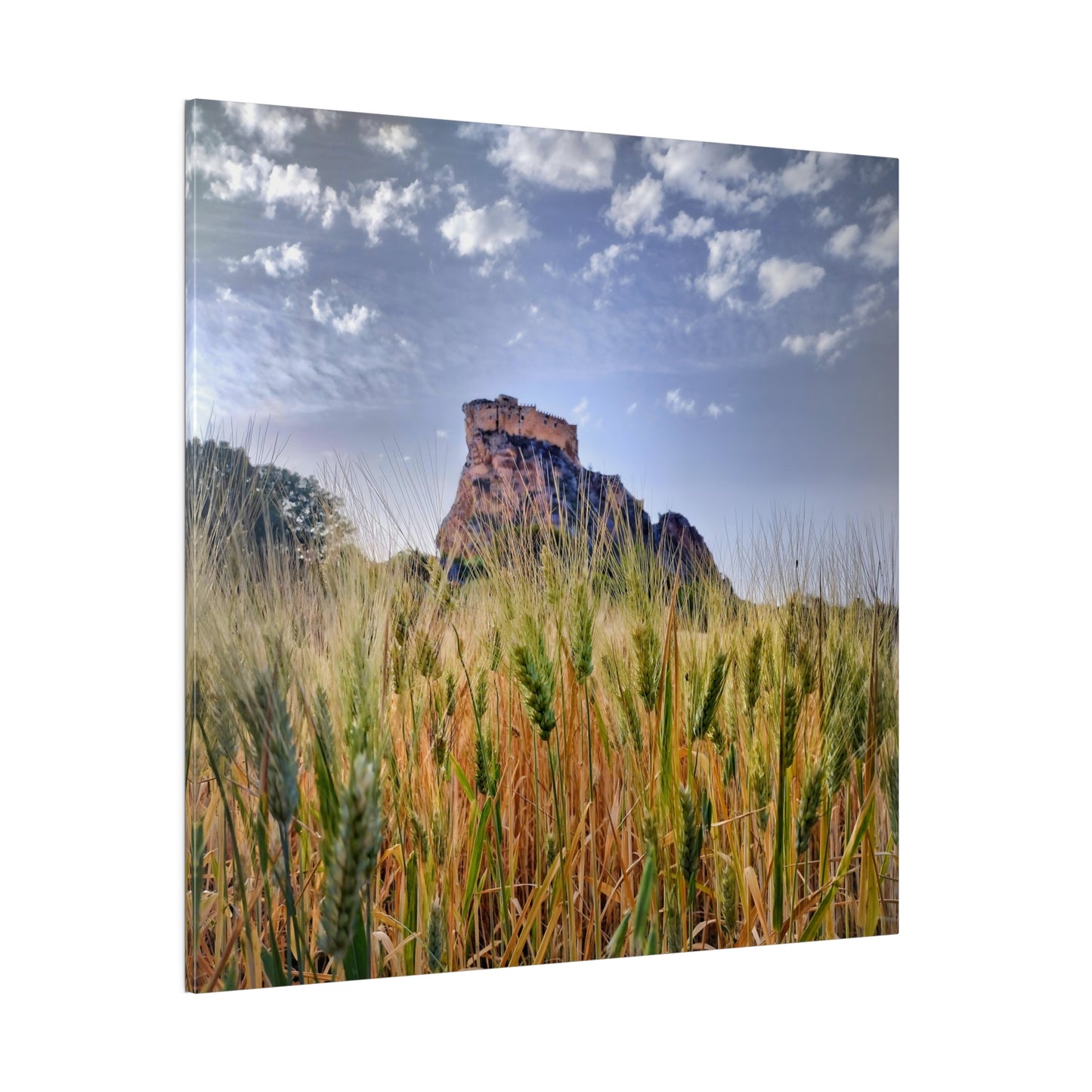 Castello Manfredonico - Matte Canvas Print