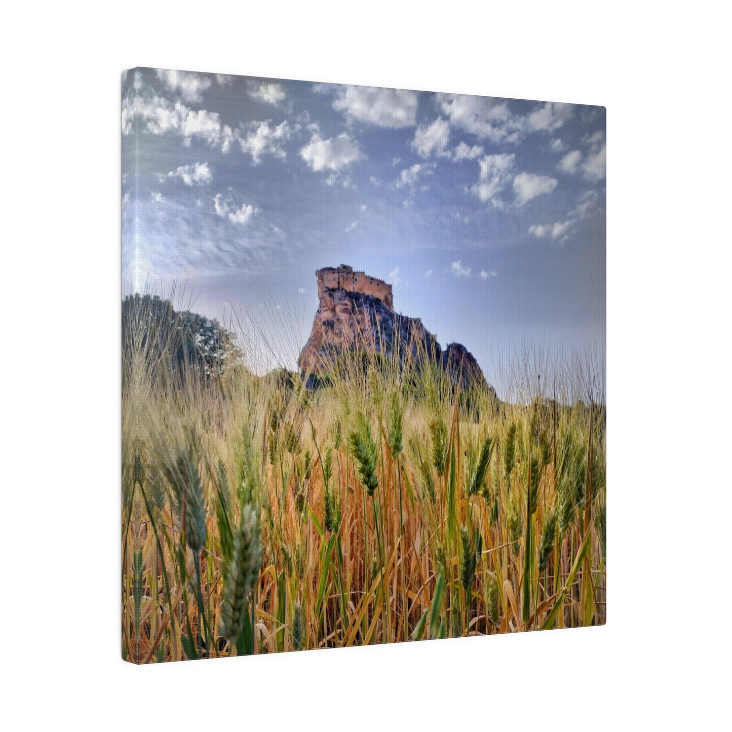 Castello Manfredonico - Matte Canvas Print