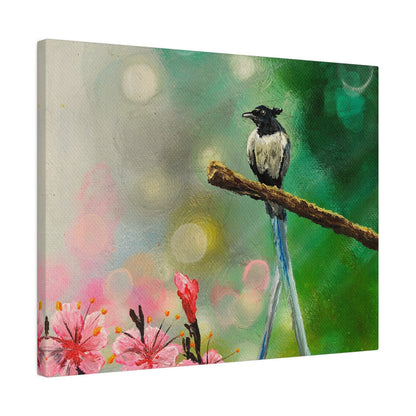 Asian Flycatcher - Matte Canvas Print