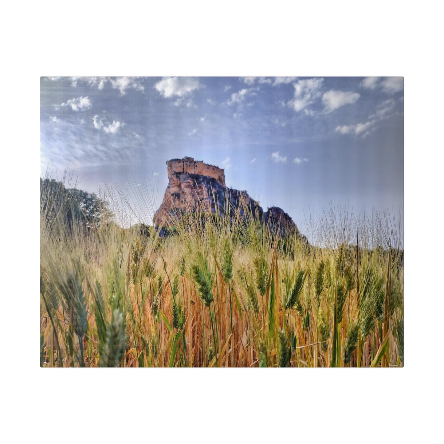 Castello Manfredonico - Matte Canvas Print