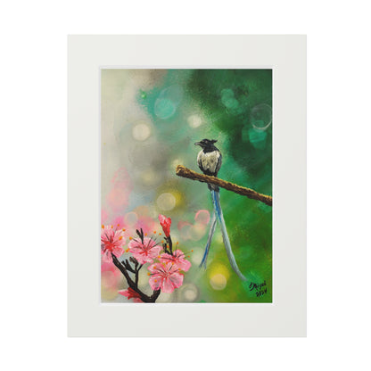 Asian Flycatcher - Fine Art Prints with Passepartout