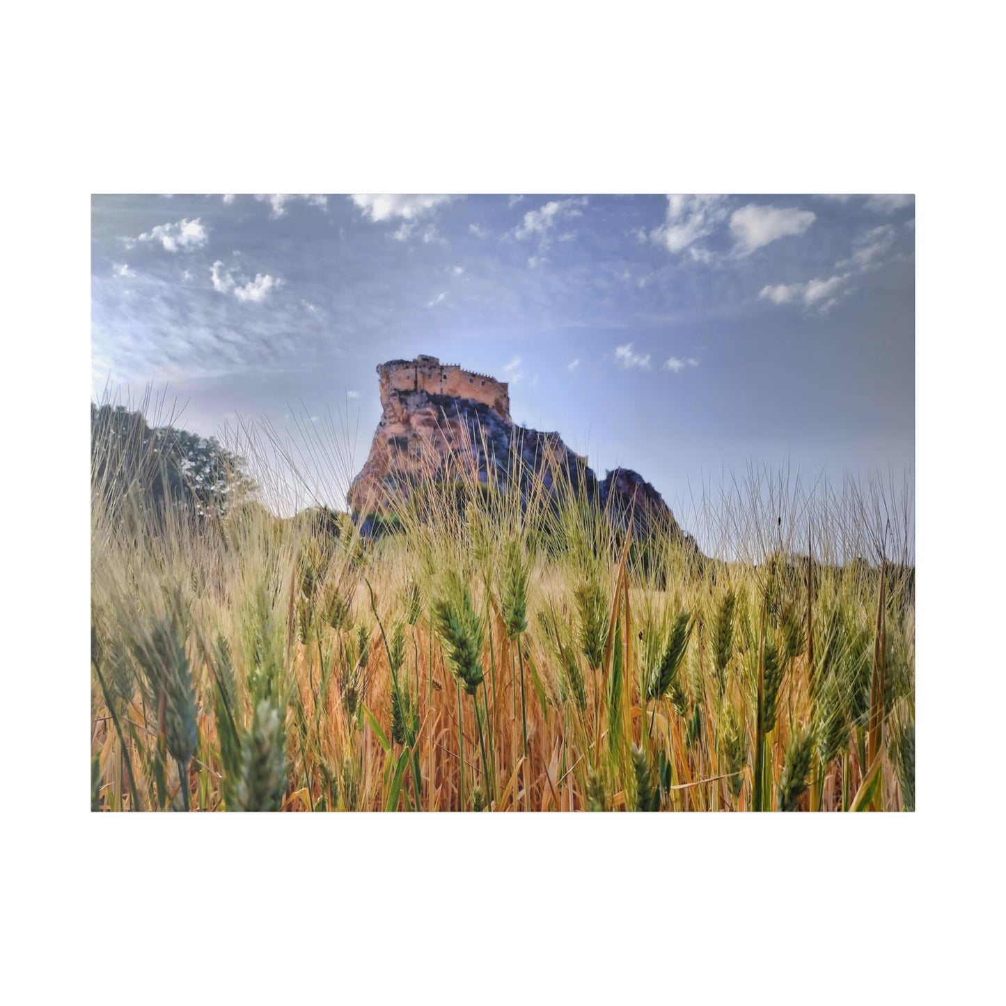 Castello Manfredonico - Matte Canvas Print