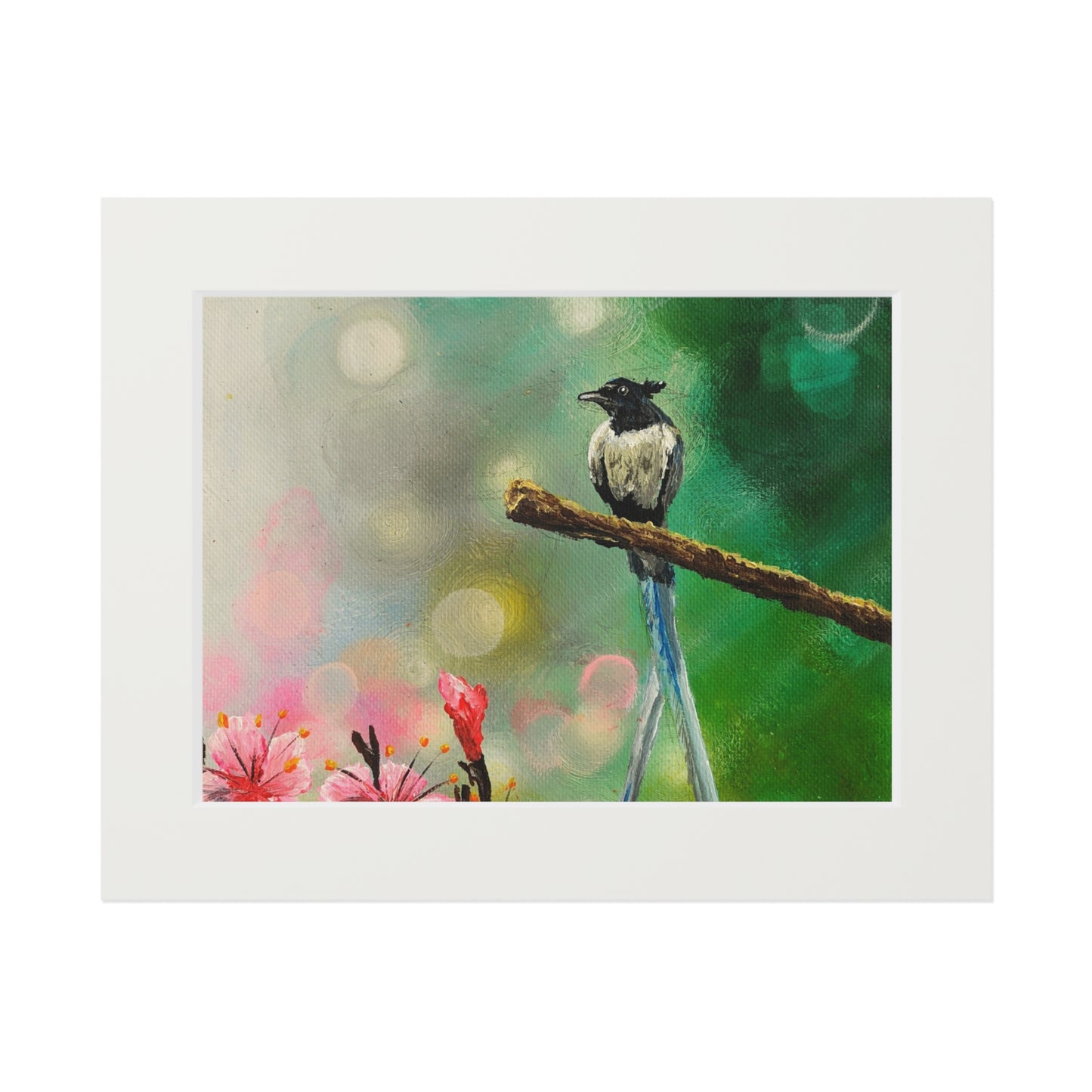 Asian Flycatcher - Fine Art Prints with Passepartout