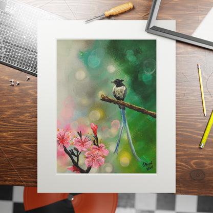 Asian Flycatcher - Fine Art Prints with Passepartout