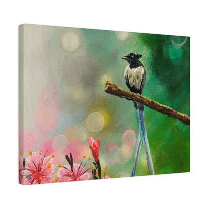 Asian Flycatcher - Matte Canvas Print