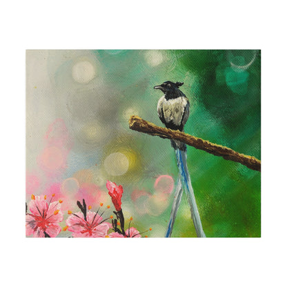 Asian Flycatcher - Matte Canvas Print