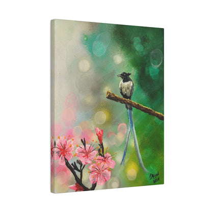 Asian Flycatcher - Matte Canvas Print