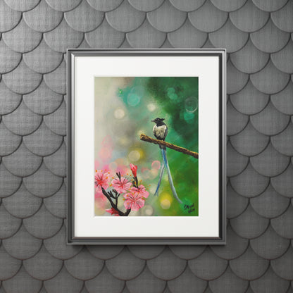 Asian Flycatcher - Fine Art Prints with Passepartout