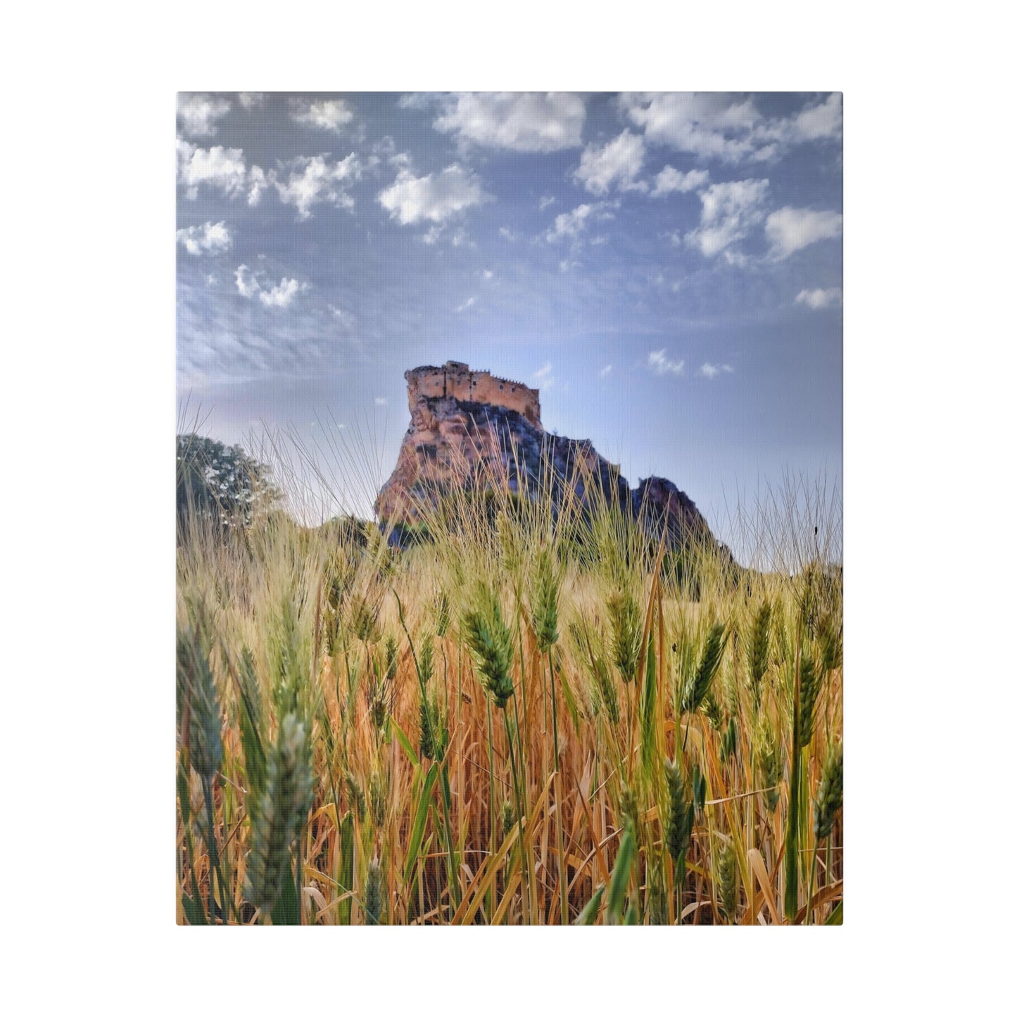 Castello Manfredonico - Matte Canvas Print