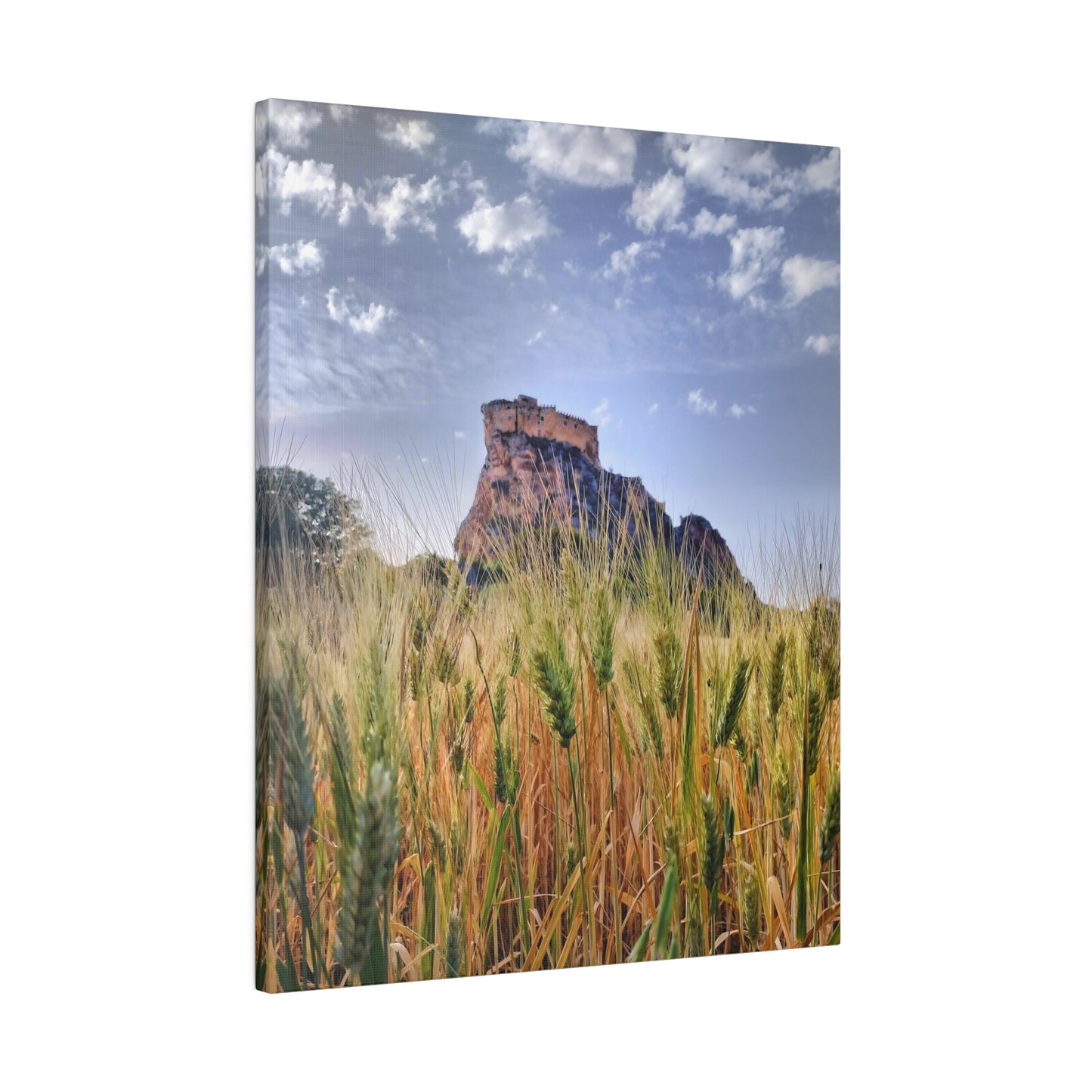 Castello Manfredonico - Matte Canvas Print